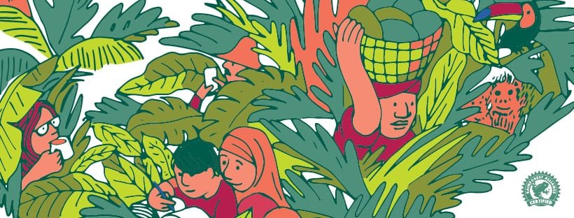 Rainforest Alliance - Follow The Frog